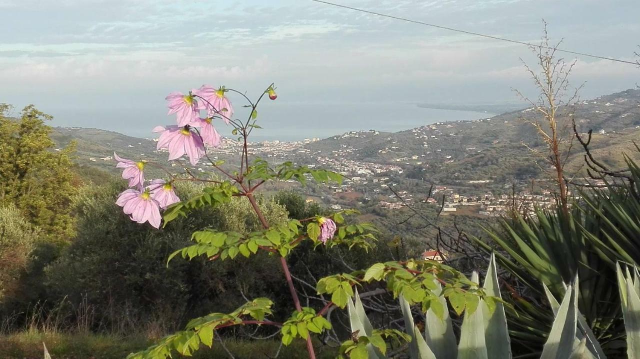 Casale San Martino Bed and Breakfast Laureana Cilento Buitenkant foto