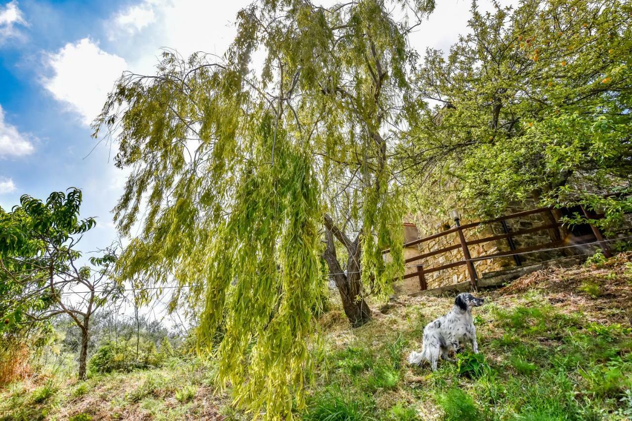 Casale San Martino Bed and Breakfast Laureana Cilento Buitenkant foto